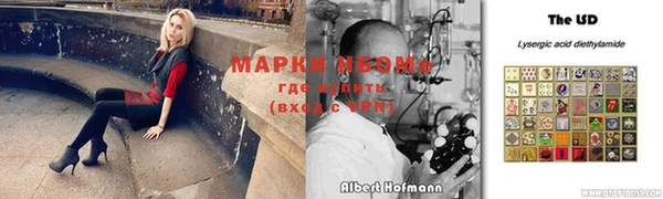 прущие грибы Алексин