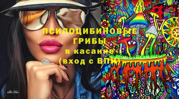 spice Алзамай