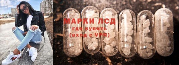 прущие грибы Алексин