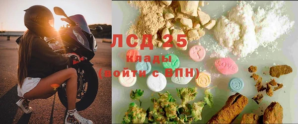 spice Алзамай
