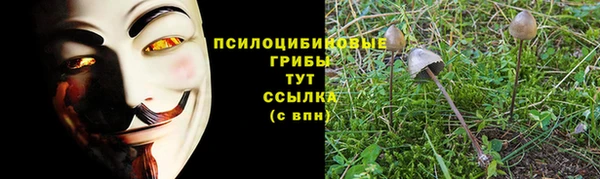 2c-b Алексеевка
