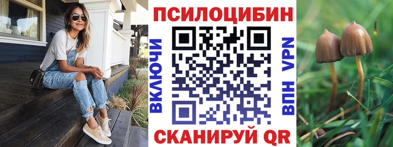 Псилоцибиновые грибы мицелий  что такое   мега ССЫЛКА  Апшеронск 